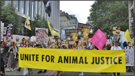 A group of people coming together to protest for animal rights. (Photo courtesy of Plant Based News).
